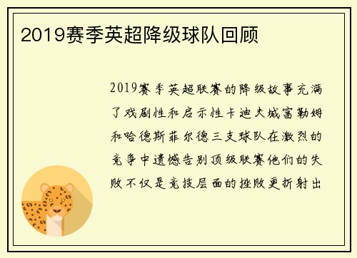 2019赛季英超降级球队回顾
